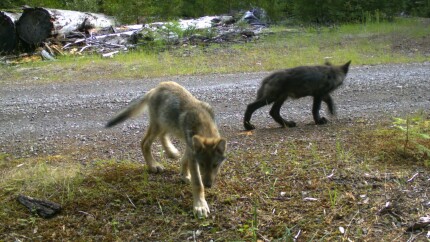 Jefferson Public Radio Jpr Jefferson Public Radio
