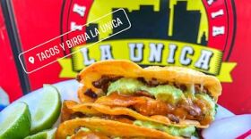 Tacos y Birria La Unica's Quesatacos
