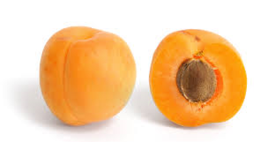 apricot.png