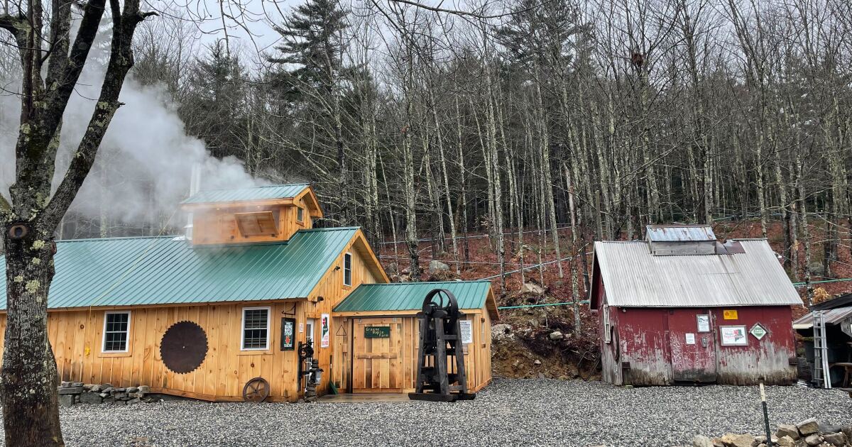 Maine's maple experts worry about the impacts drought will have on future sugaring seasons