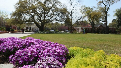 Photo of landscape in Columbia, S.C.