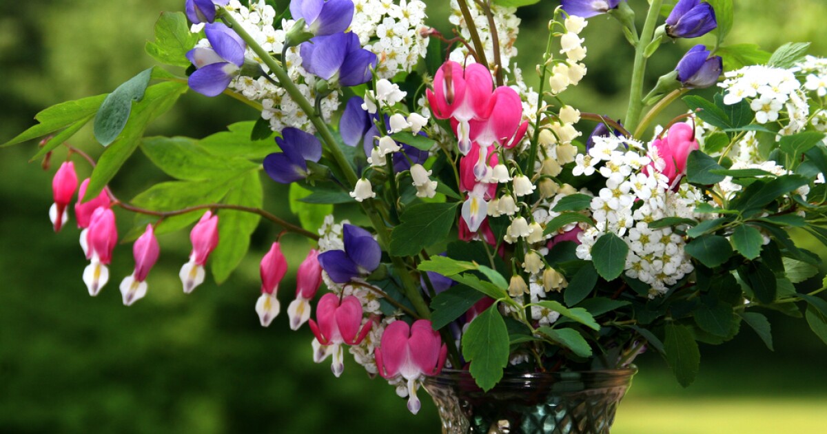 Where Do Valentine's Day Flowers Come From? Iowa Public Radio
