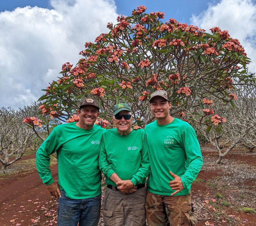 From left to right: Clark, Jim and Dane Little of Little Plumeria Farms on Oʻahu.