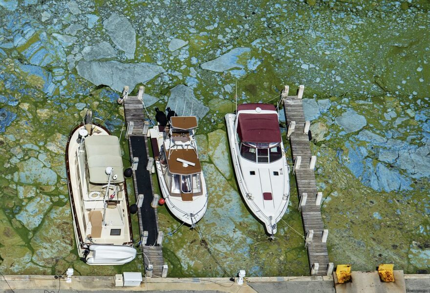 Boats docked at Central Marine in Stuart, Fla., are surrounded by blue green algae, Wednesday, June 29, 2016. Officials want federal action along the stretch of Florida's Atlantic coast where the governor has declared a state of emergency over algae blooms. Local officials blame the deteriorating water conditions on freshwater being released from the lake, according to a statement released Wednesday. (Greg Lovett/The Palm Beach Post via AP)