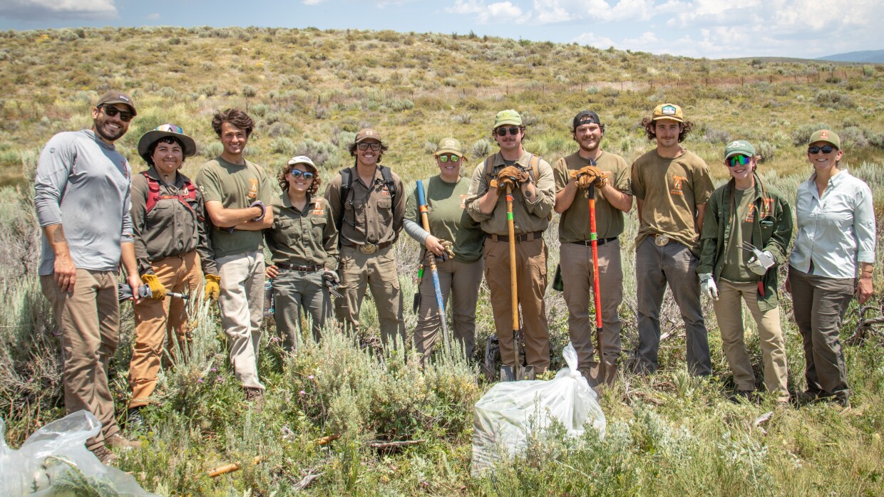 Two Utah Conservation Corps crews worked together on a project to fight invasive weeds, July 1, 2025, in Park City.