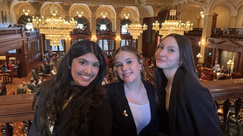 Lincoln Junior High students testified at the capitol to name the black and gold bumblebee the Illinois state bee.