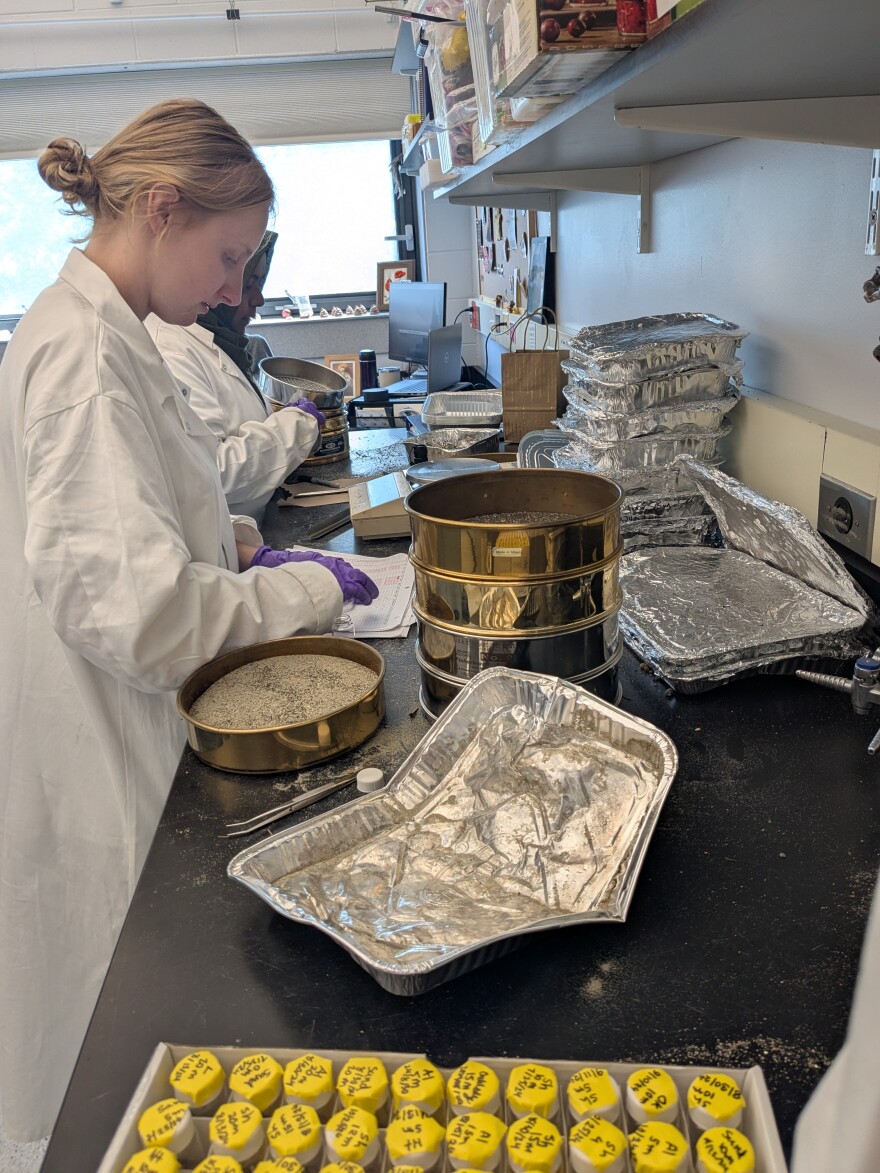 Nurjahan Begum and Grace Massa process field samples in the lab.