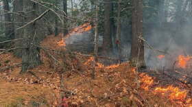 wildfire burning leaf layer
