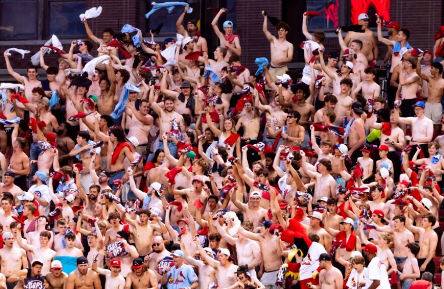 St. Louis Cardinals create 'tarps off' section at Busch Stadium | STLPR