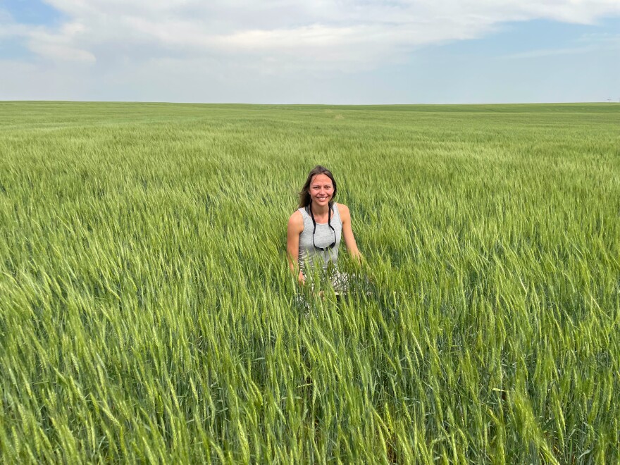 A woman sits in a green wheat field