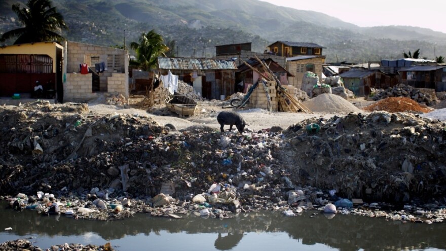 A lone pig roots through trash dumped over the side of a sewage canal that run from the center of Port au Prince through Cite de Dieu. During the rainy season, the canal overflows its banks and fills nearby houses with sewage.