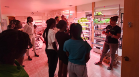 Students learning about hydroponics 