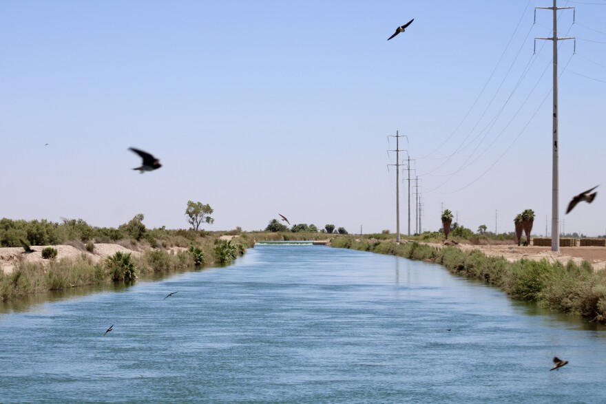 Water from the Colorado River flows through the East Highline Canal on its way to farms in the Imperial Valley. The Colorado River's single largest user has taken federal money through incentive programs to cut back on water use.
