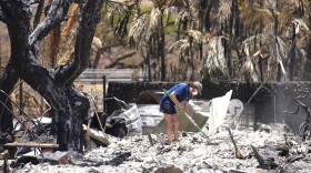 FILE - A woman digs through rubble of a home destroyed by a wildfire on Aug. 11, 2023, in Lāhainā, Hawaiʻi. (AP Photo/Rick Bowmer, File)