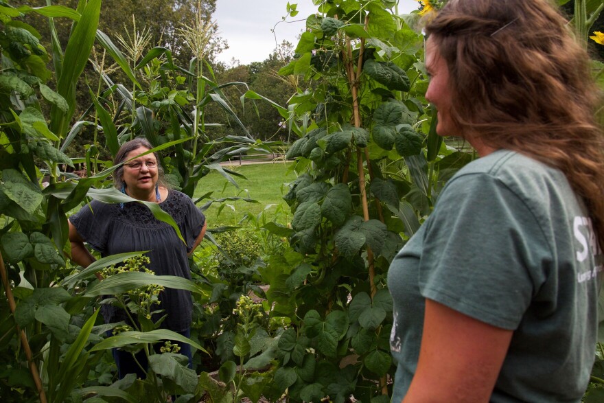 A photo of two people looking at each other amid green, tall, leafy plants. 