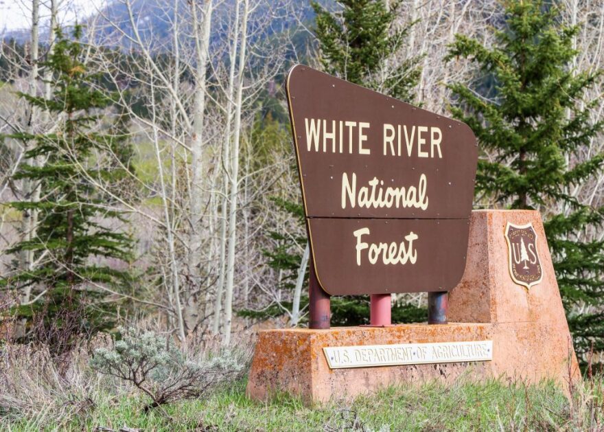 A brown sign surrounded by trees says White River National Forest