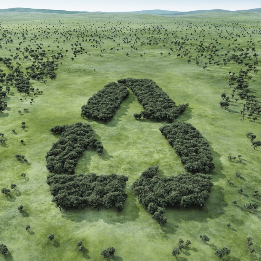 Is recycling bad? No, but research suggests recycling can have a downside.