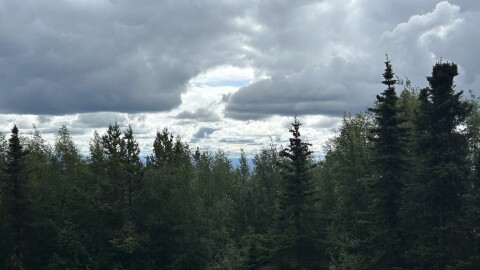 Showery conditions which prevailed during the last part of June limited Alaska wildfire activity.