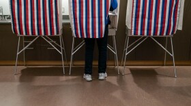 a voter in a polling booth