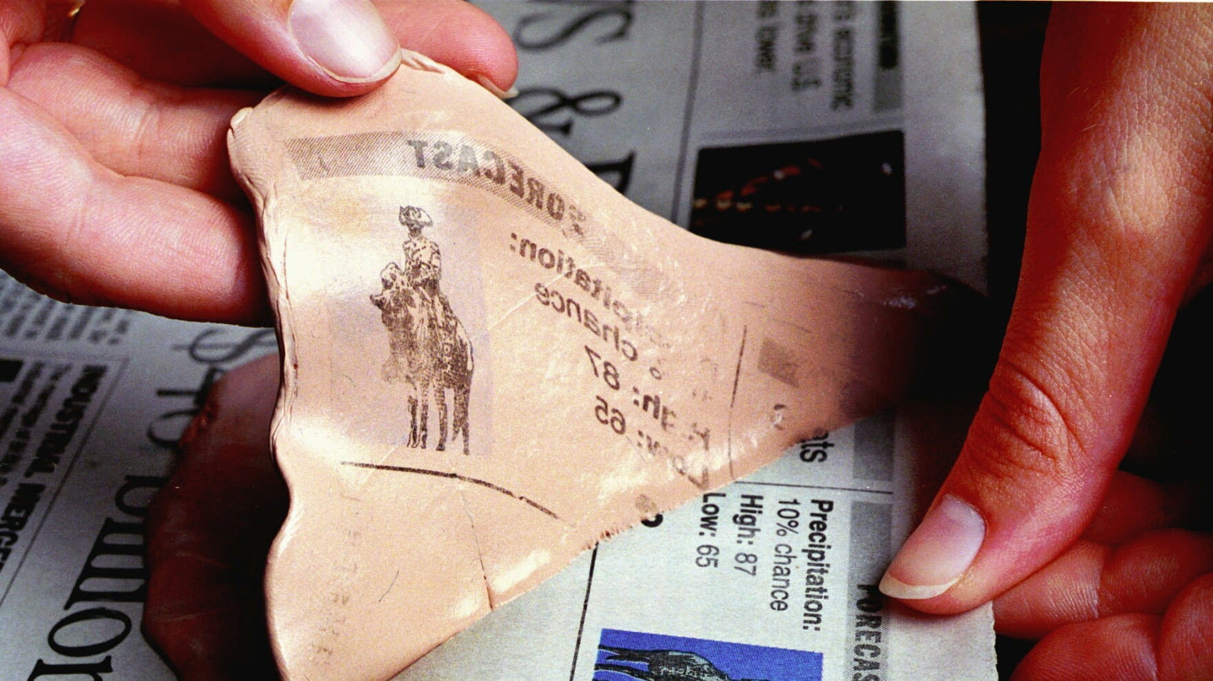 California Paper Shell How That Pinkish Goo Called Silly Putty Came Out Of Its Shell | Buffalo ...