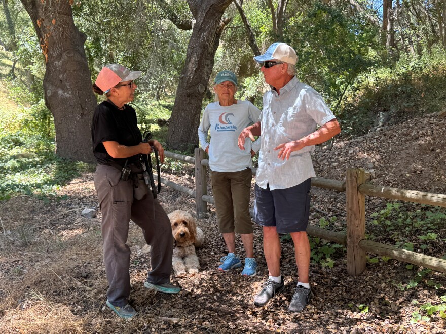 Lava the goldendoodle is given training to avoid rattlesnakes by trainer Gina Gables from Snakesafe Dog