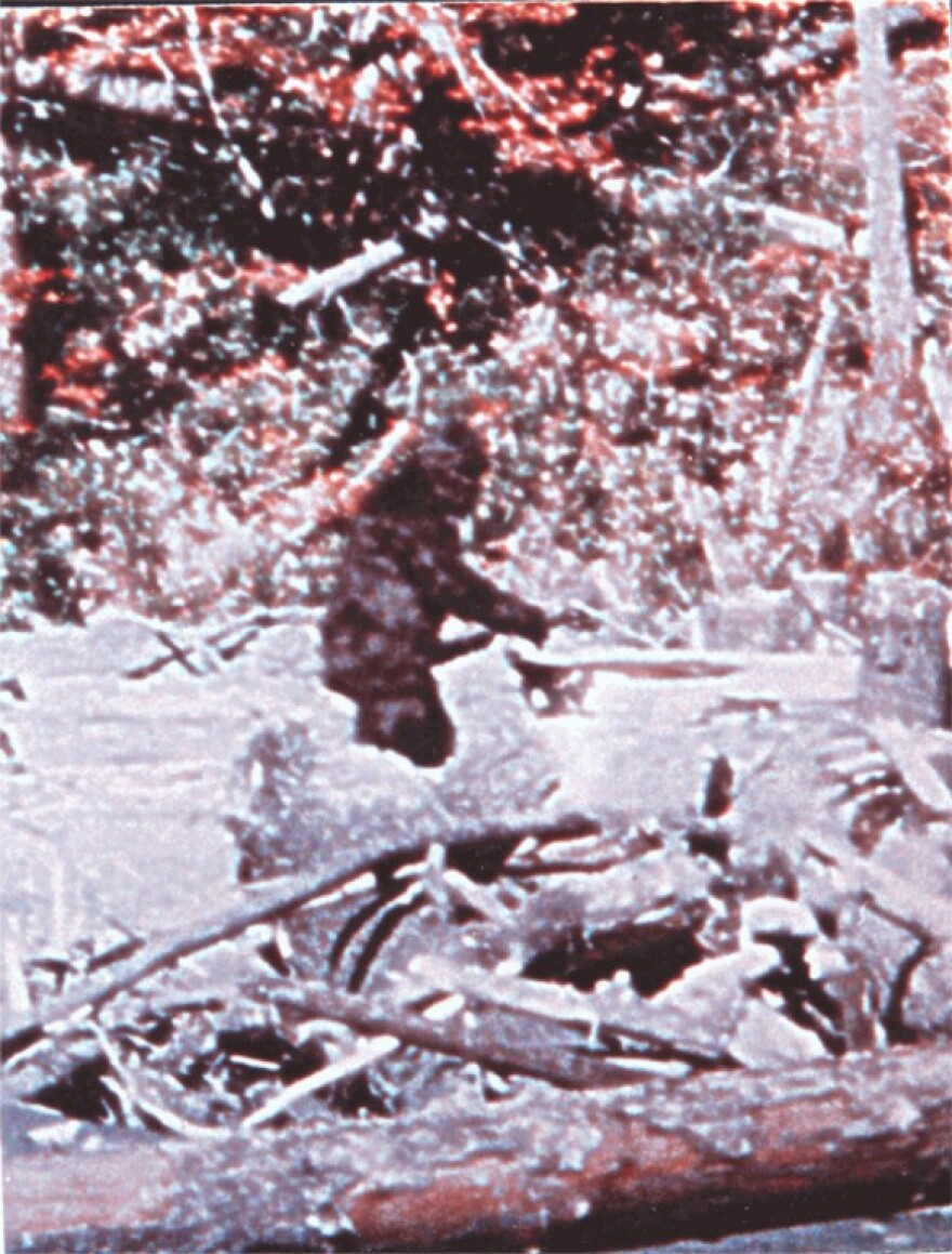 This image of a purported Bigfoot comes from the famous Patterson-Gimlin film.