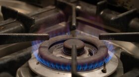 Flames from a gas stove in Denver, Colorado.