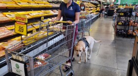 Danyelle Clark-Gutierrez and her service dog, Lisa, shop for food at a grocery store. Clark-Gutierrez got the yellow Labrador retriever to help her cope with post-traumatic stress disorder after she experienced military sexual trauma while serving in the Air Force.