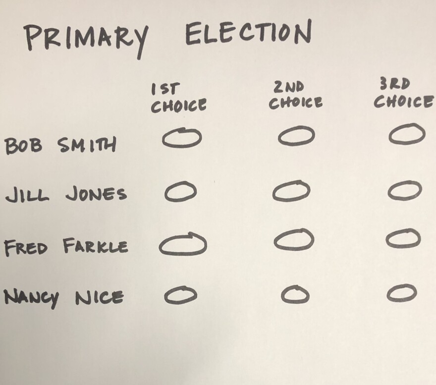 Idaho voters may choose in November whether to adopt ranked choice voting, or ban it.