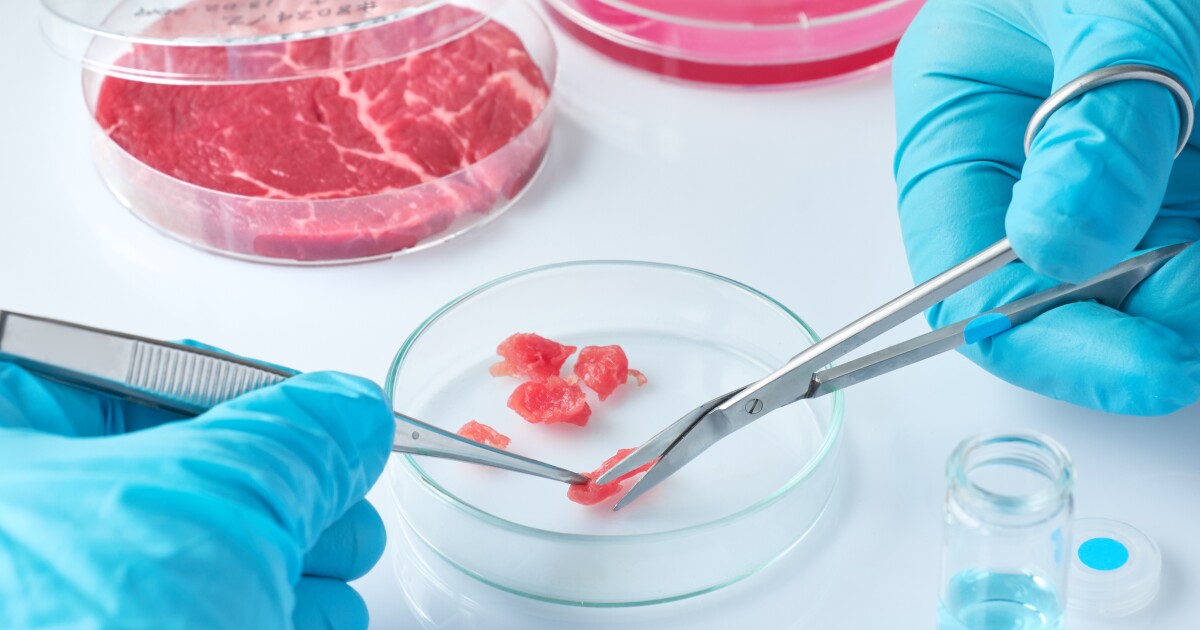 Missouri Weighs Ban on Lab-Grown Meat Products