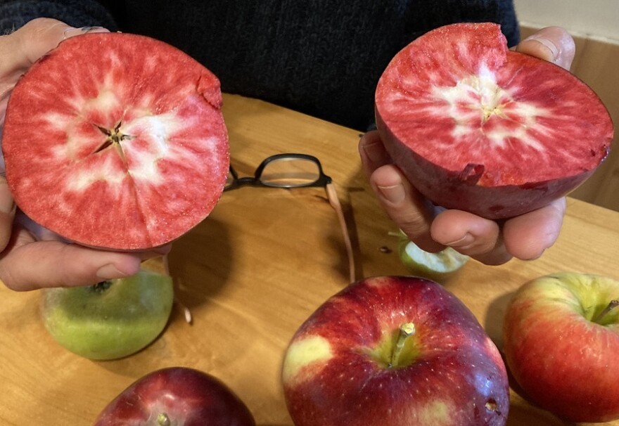 Hands holding an apple cut in half. The flesh of the apple is red and white. 