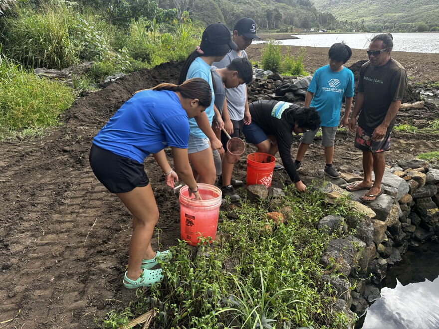 BGCH kids participating in ʻāina workdays, which is one of the services provided by the club during afterschool hours.