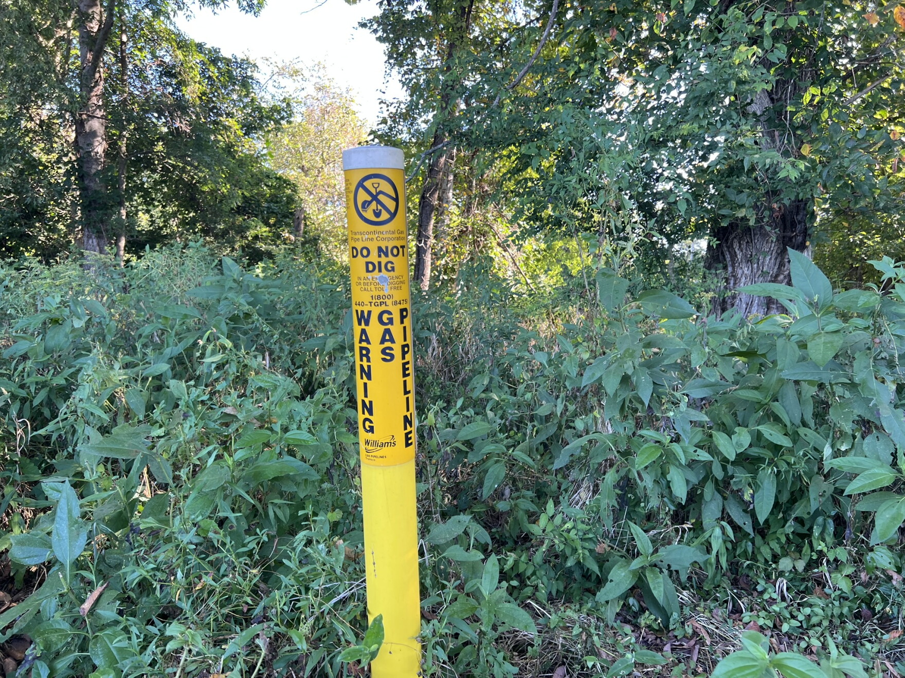 Water quality permit for natural gas project MVP Southgate approved