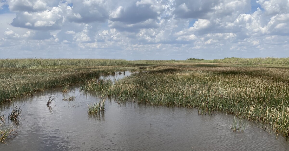 In Florida, questions surround the state’s attempt to expand its role in Everglades restoration