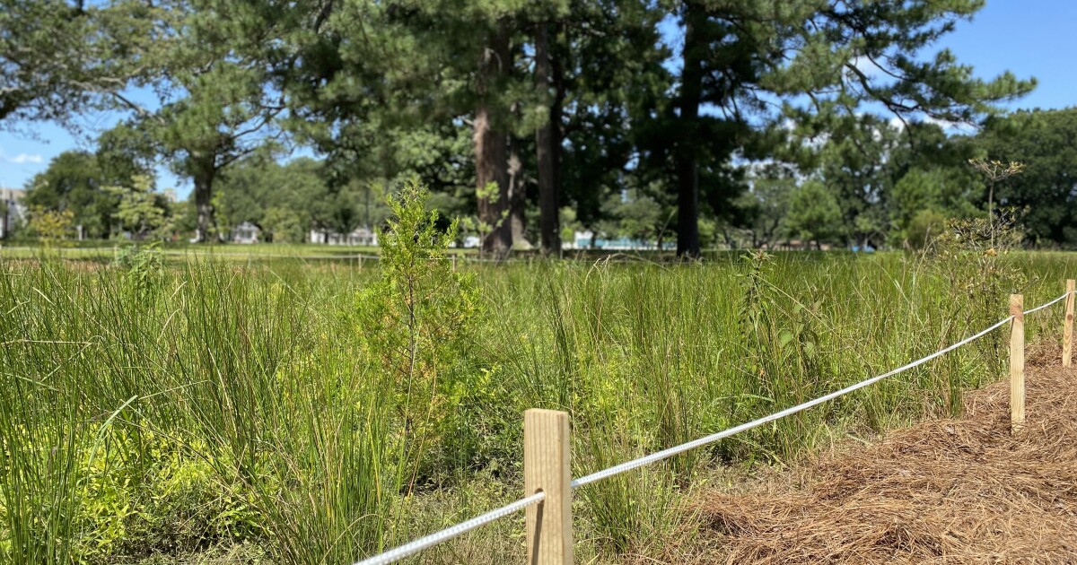 Norfolk &ldquo;green infrastructure tour&rdquo; highlights natural solutions to flooding
