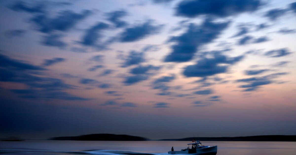 Net-migration went up in every Maine county last year, but some still saw population declines