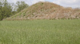 One of 11 mounds, or truncated pyramids, at Angel Mounds in Evansville. Mississippian people viewed the mounds as status symbols and lived on top of them.