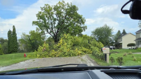 Fallen trees completely block a road near Howell following Thursday’s severe storms. Residents used a backhoe and chainsaws to begin clearing the debris.