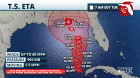 Eta Forecast Cone