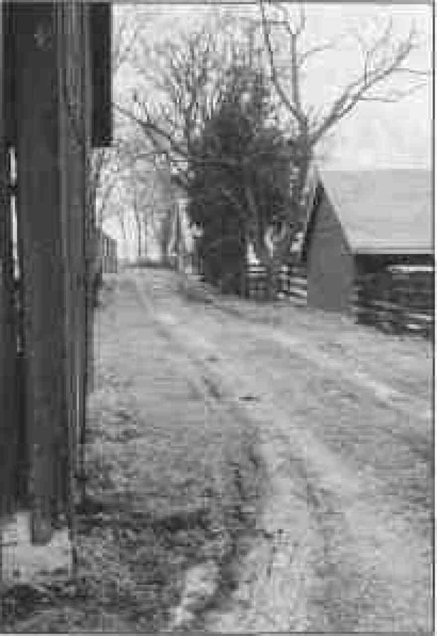 Pathway on the Manske-Niemann farm