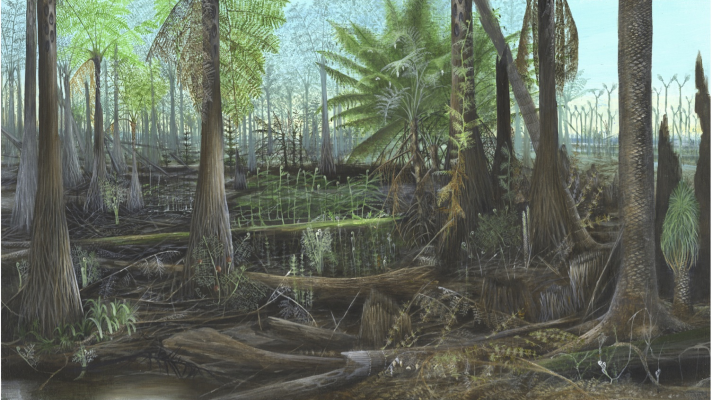 A climate of the past: Carboniferous landscape ~300 Mya