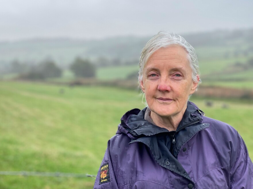 Jill Perry, a retired teacher and secretary for the local Green Party, opposes the new mine. She says the local economy has never recovered from the closure of the mines and some people here "regard their heritage as something that can be revived."