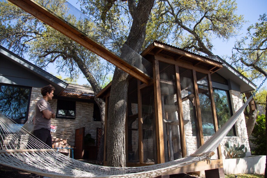 Smigel is incredibly proud of his catio, which took him a week to build.