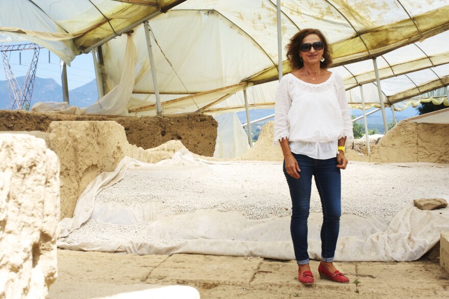 Archaeologist Xeni Arapogianni made an important discovery at Ancient Thouria, a city-state referenced by Homer and located near the southern city of Kalamata. But, facing austerity budget cuts, she is struggling to finance her work.
