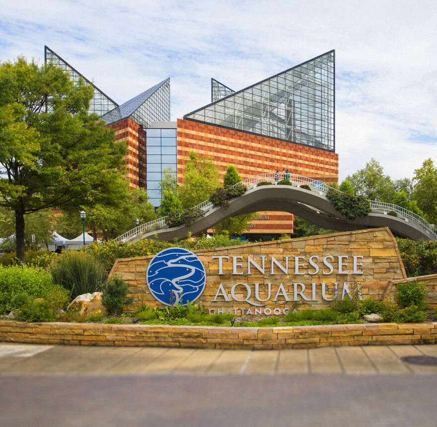 The Tennessee Aquarium in Chattanooga.