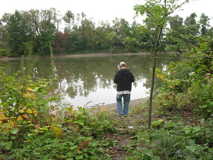 Buffalo River @ Confluence w/Cazenovia Creek