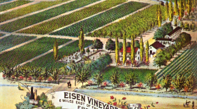 An illustration of the Eisen Vineyard east of Fresno, where Fresno's first raisins were produced, by accident