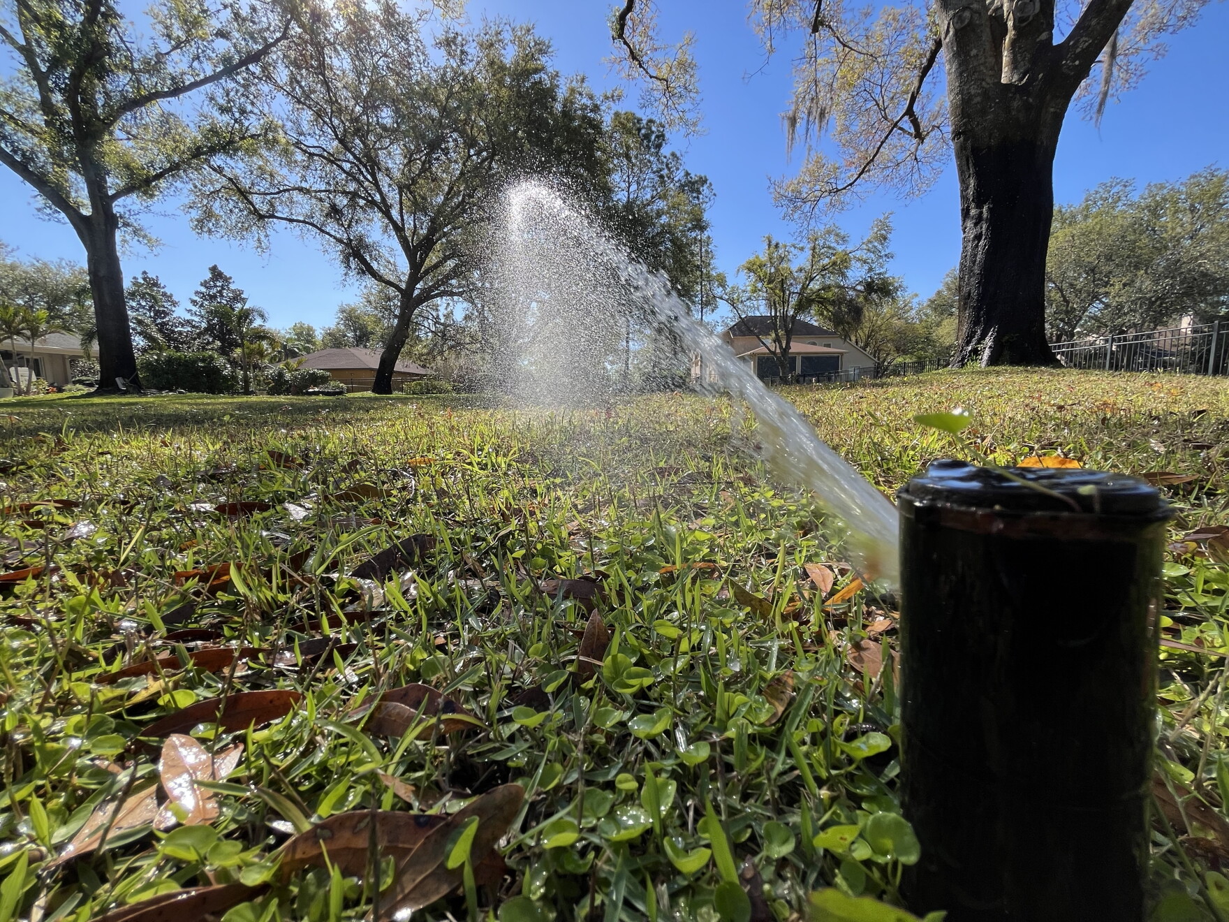 Sprinklers could contribute to your expensive Hillsborough water bill ...