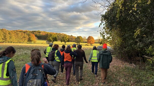 A group of people in high-visibility vests travel along the edge of a forest 