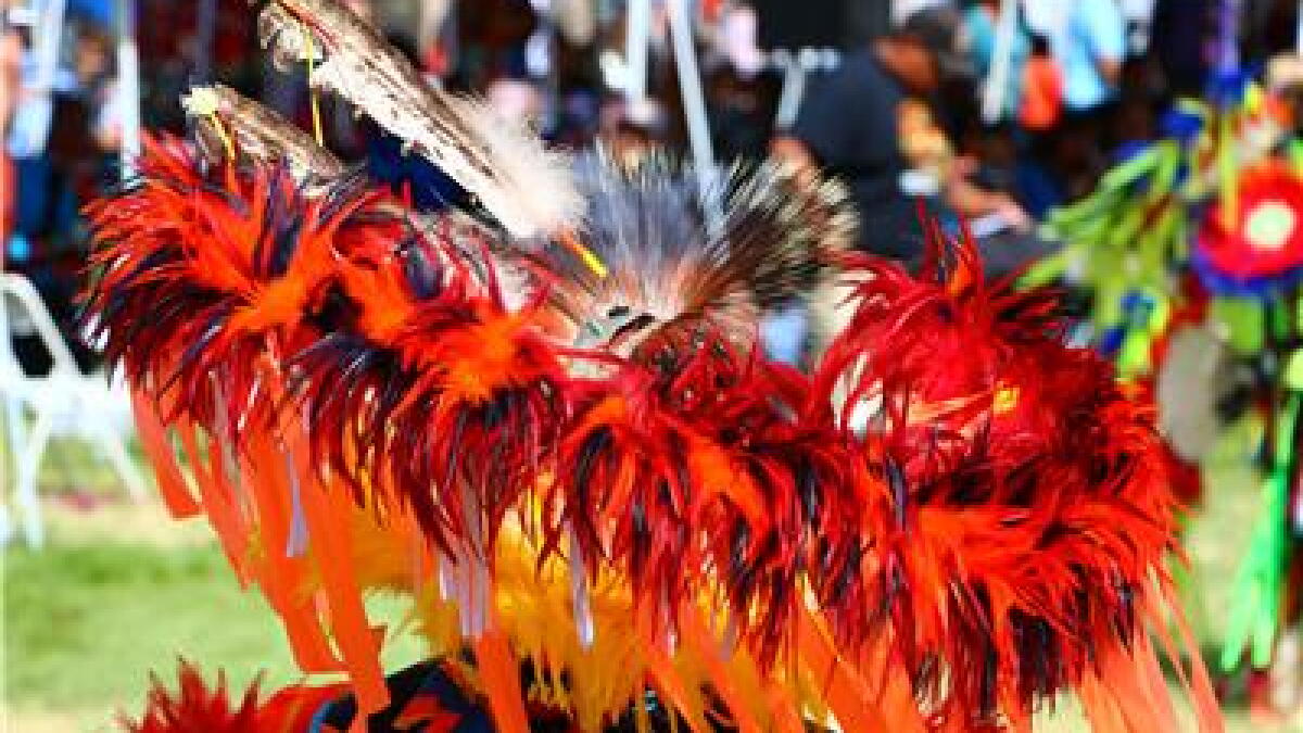 American Indian Alaska Native Tourism Association Celebrates 25 Years as the Leader in Indigenous and Cultural Heritage Tourism During U.S. Travel Association's National Travel & Tourism Week May 7-13, 2023 - Vimarsana News